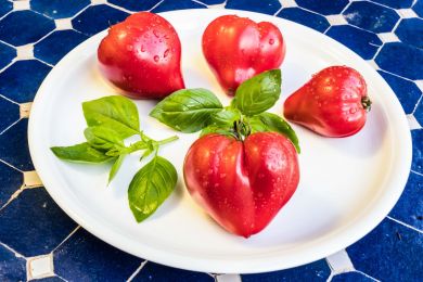 24 Die Vier Tomatenmusketiere